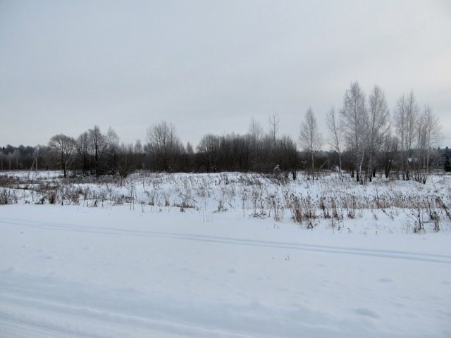 Зима в Подмосковье
